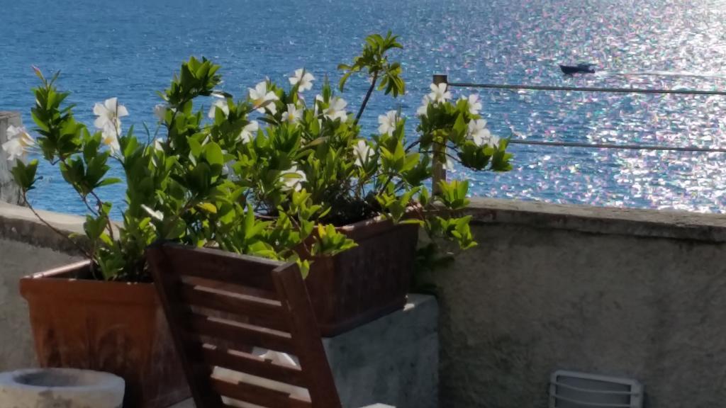 Le Sirene Bed & Breakfast Теларо Екстериор снимка